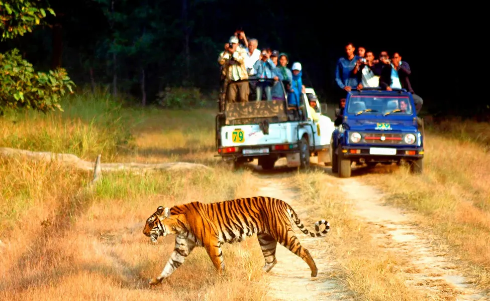 Tadoba National Park